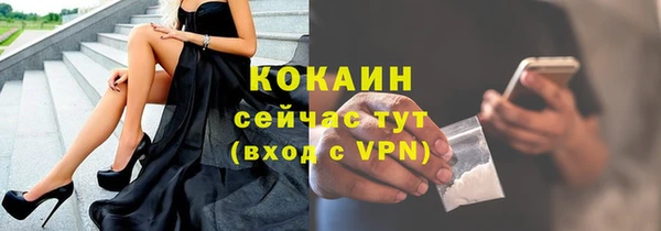 твердый Аркадак