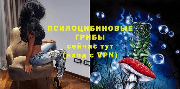 твердый Аркадак