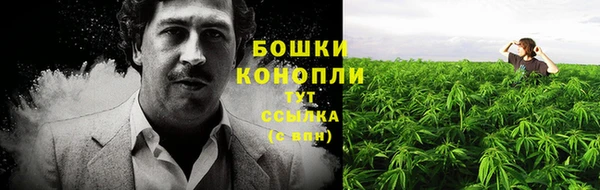 молекула духа Армянск