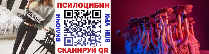 Псилоцибиновые грибы Magic Shrooms Райчихинск
